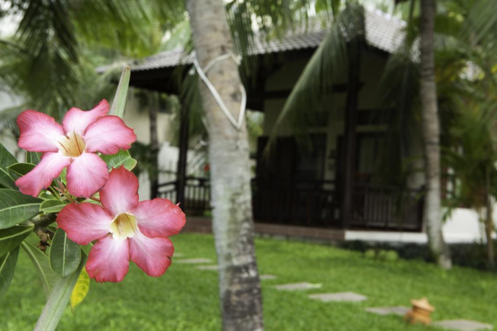 Thuy Thuy Cottages Phan Thiet Exterior photo